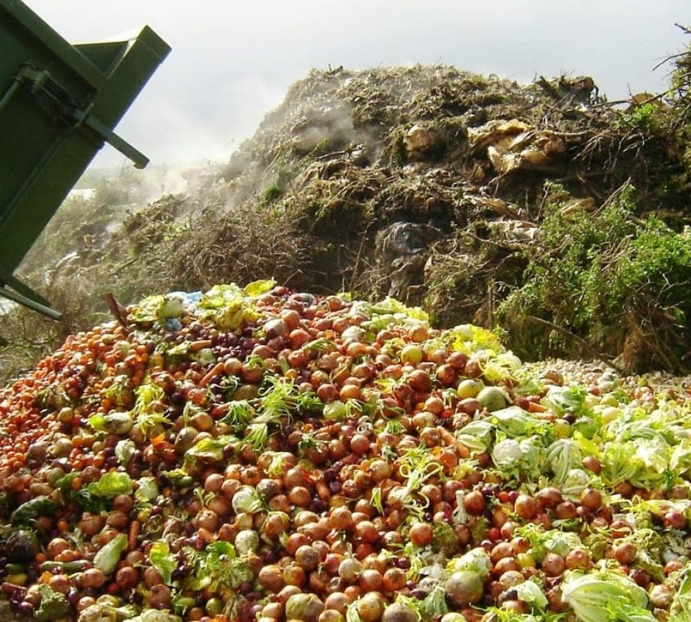 10-food-waste-solutions-that-are-basically-habits-to-save-the-earth